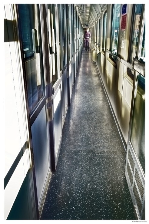 pf2018-001__KORO3923__ACDsee001__NIK001