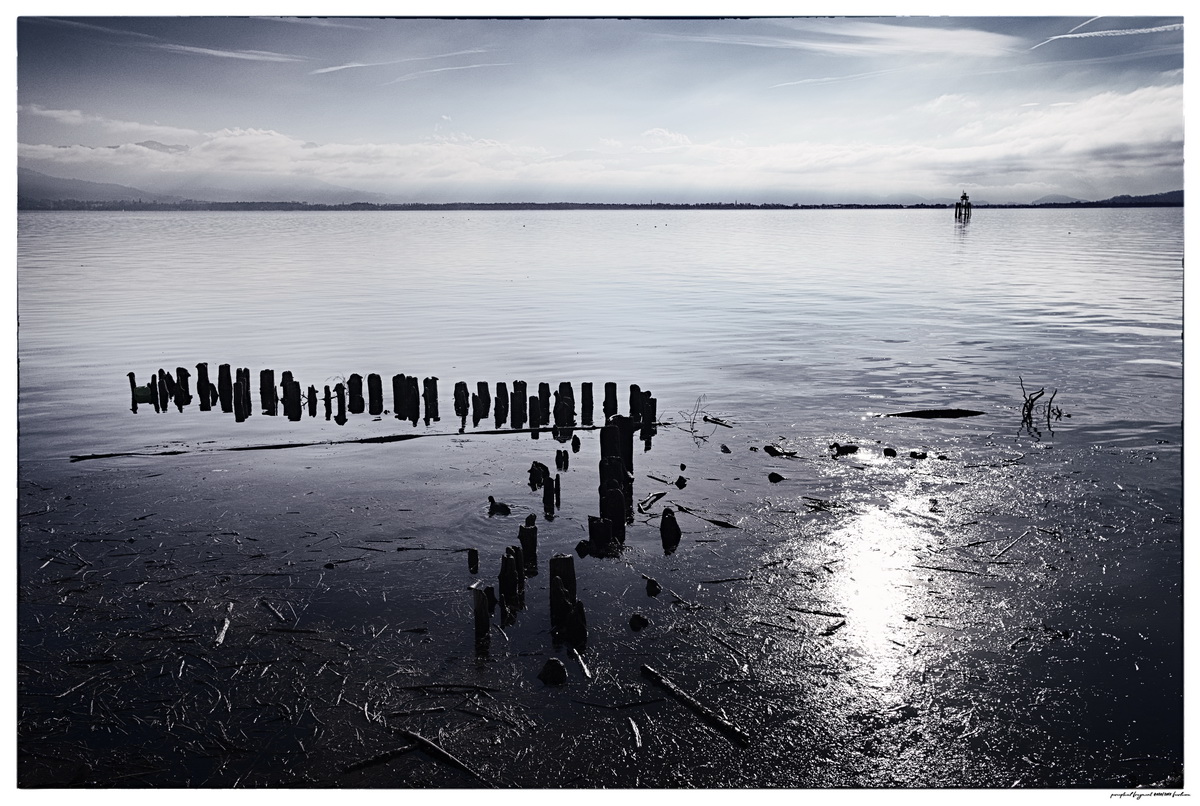 pf2018-020__KORO4143__ACDsee001__NIK001