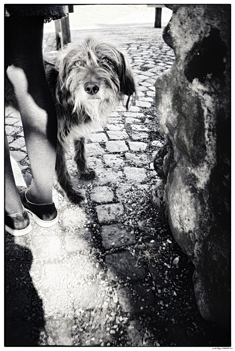 pf2018-047__KORO5125__ACDsee001__NIK001