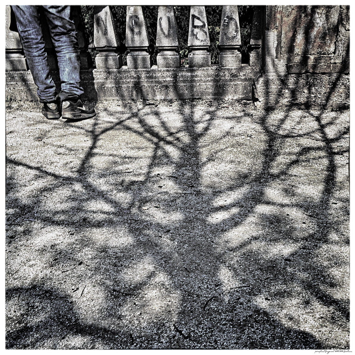 pf2018-091__KORO5562__ACDsee001SP__NIK001