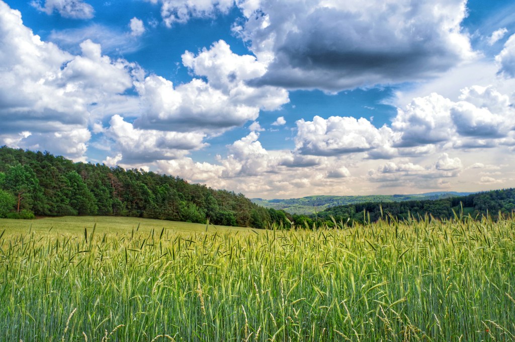 Fragmente von Prag an den Bodensee –  PRAHA nach&nbsp;CHOLIN