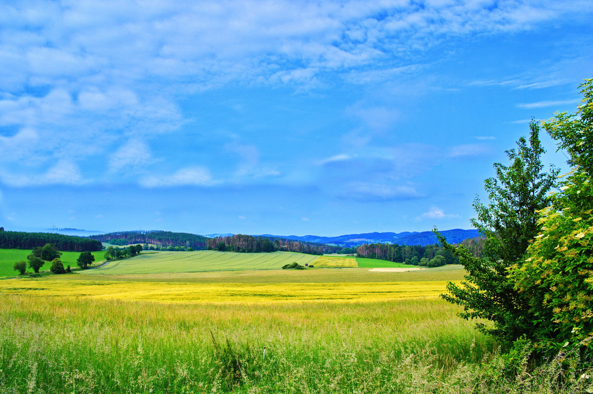 KORO6957__ACDsee001__NIK001