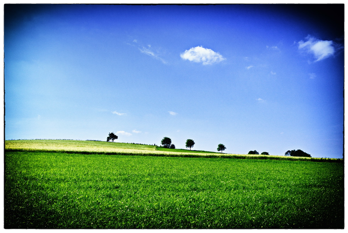 KORO7039__ACDsee001__NIK001