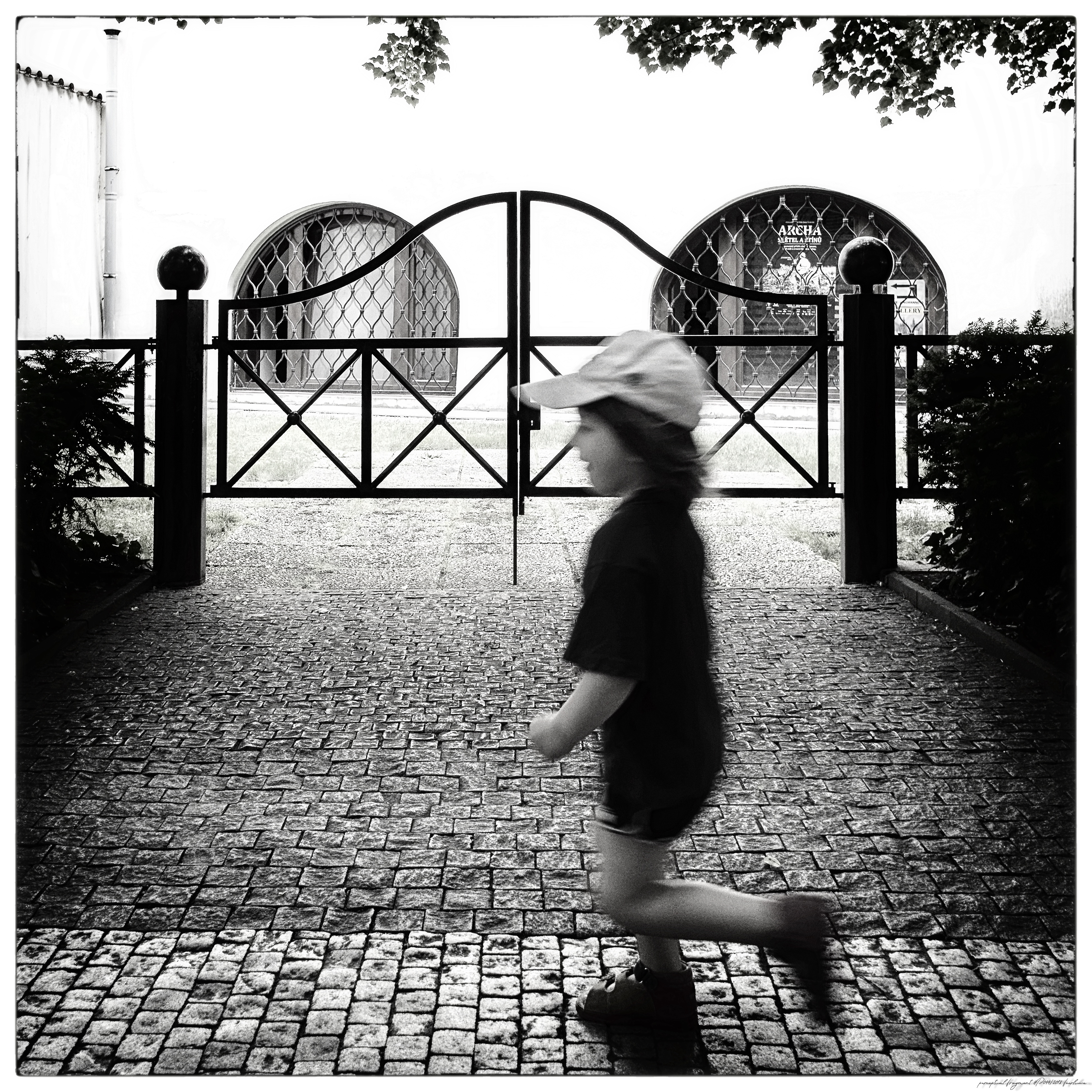 pf2018-P044__KORO5945__ACDsee001__NIK001