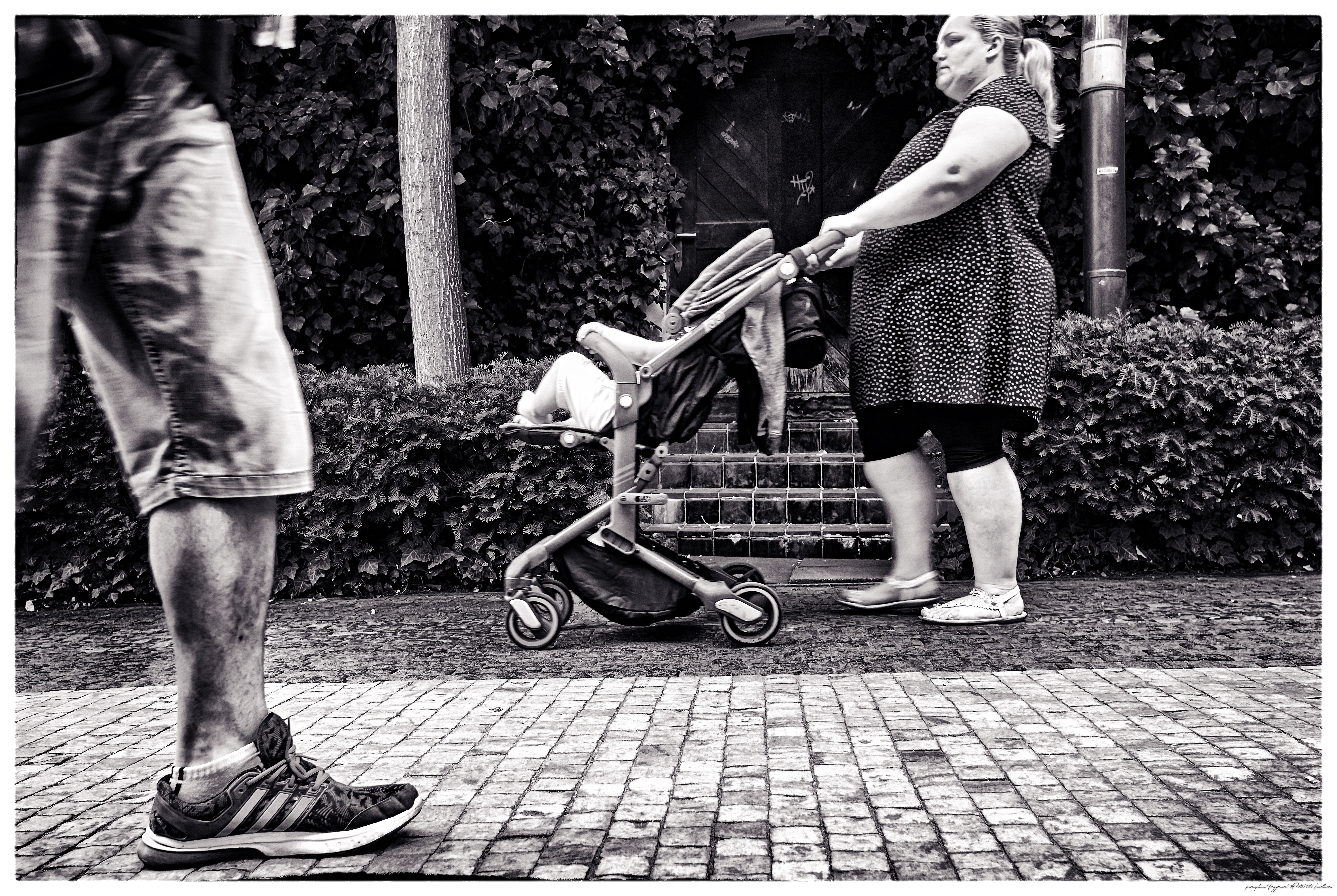 pf2018-P045__KORO5977__ACDsee001__NIK001_a