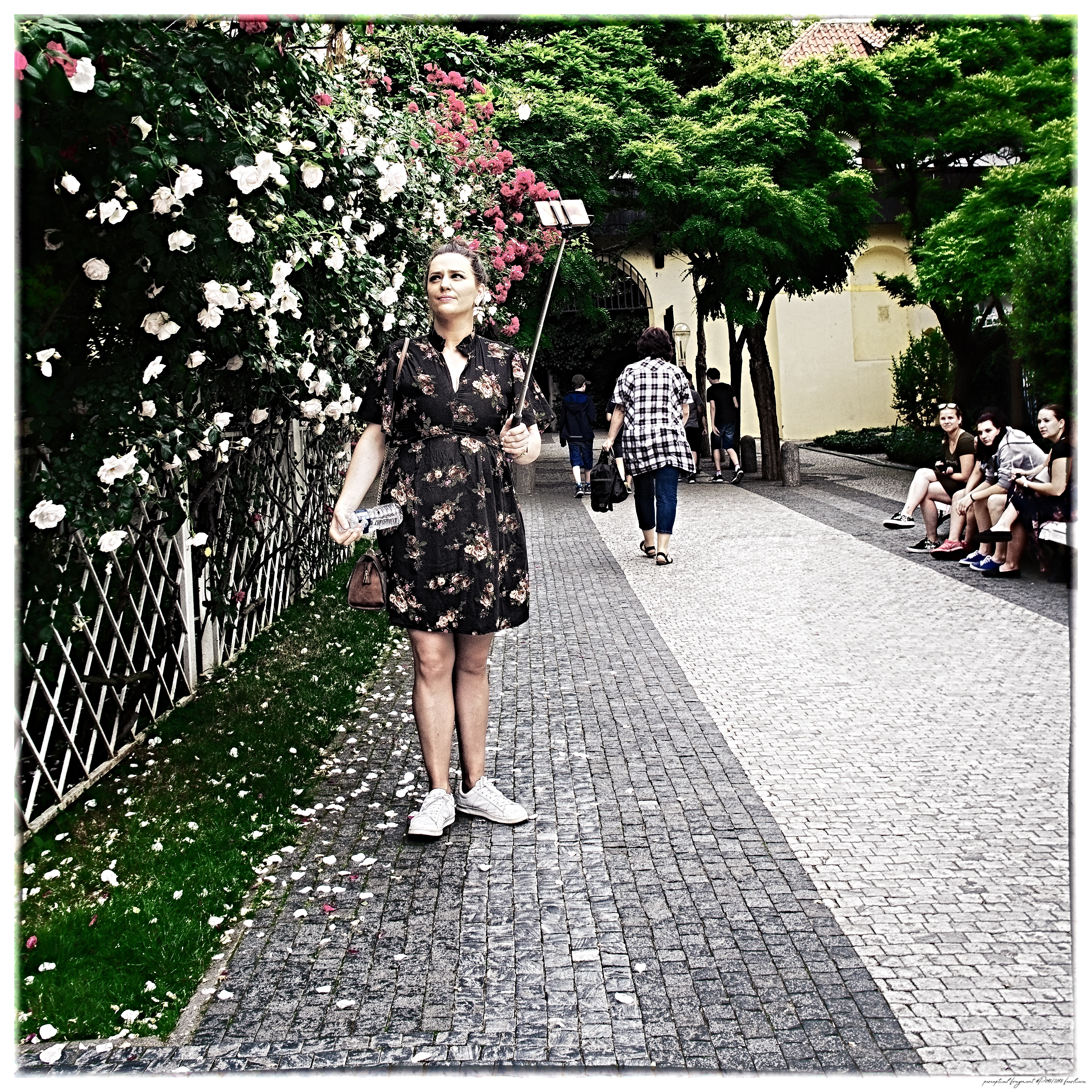 pf2018-P047__KORO6004__ACDsee001__NIK001