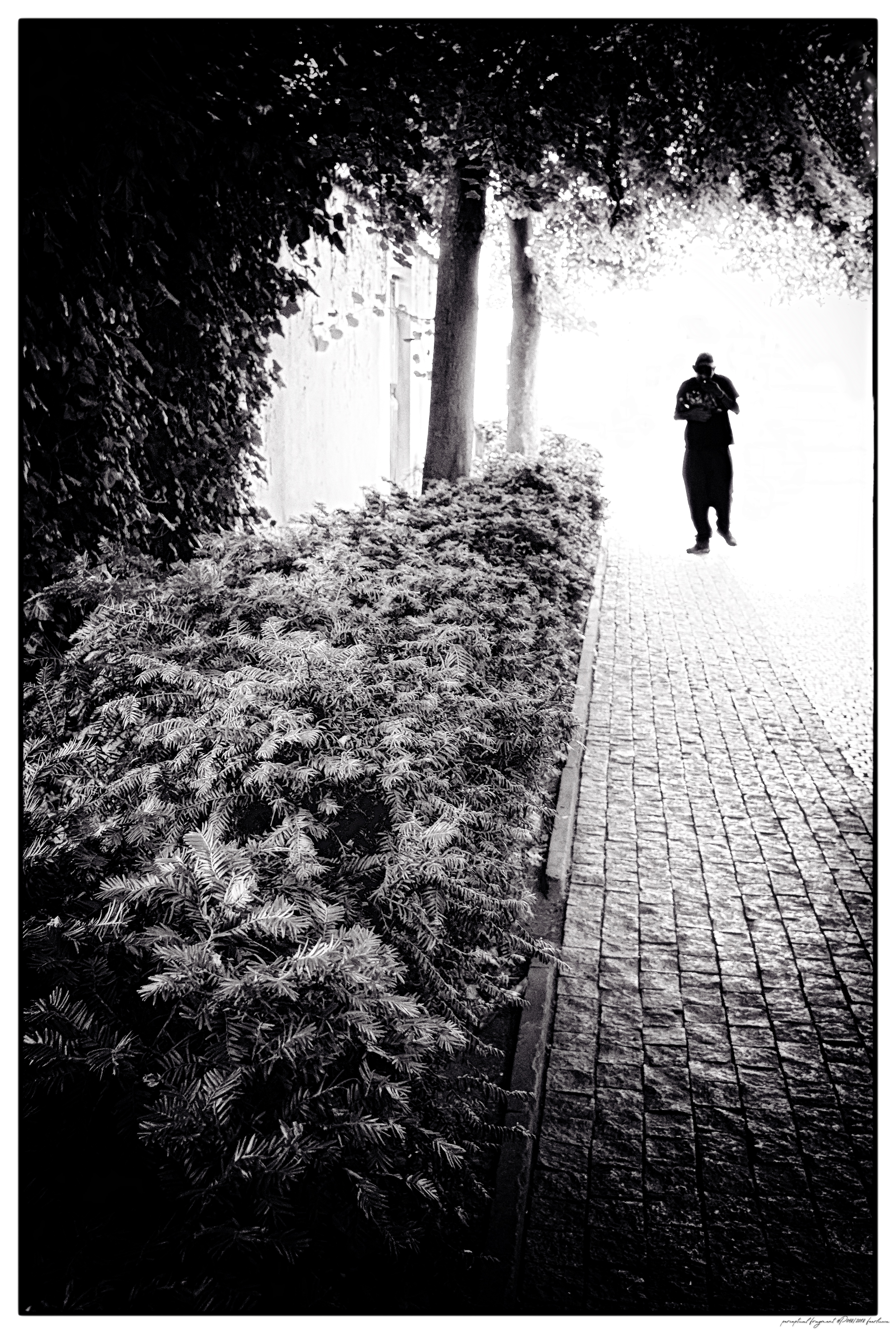 pf2018-P048__KORO6011__ACDsee001__NIK001