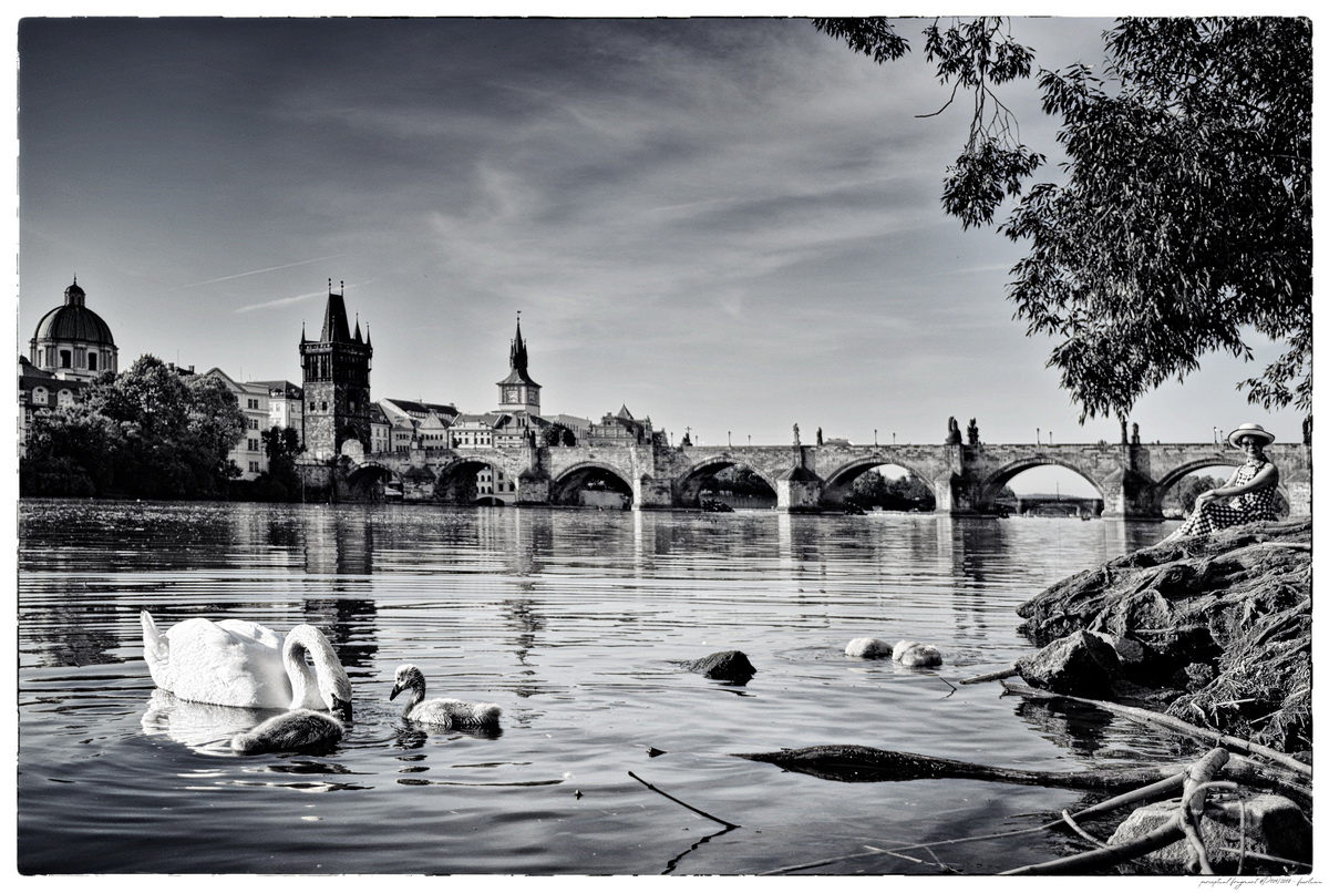 Prager Wahrnehmungsfragmente No.7