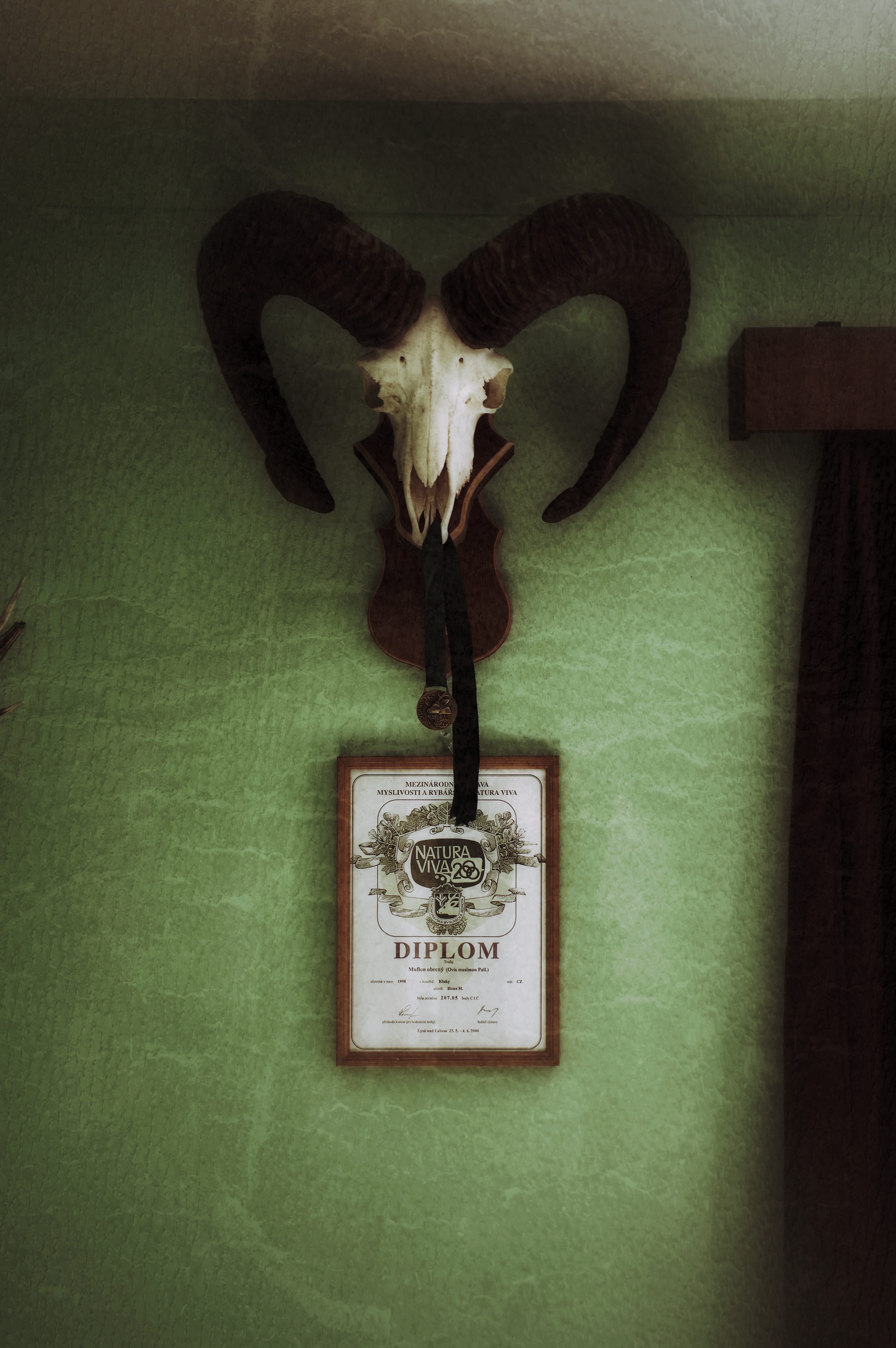 RUFEZE!CHEN: Danke H.C.