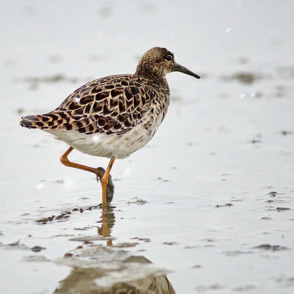 Was ist denn das für einer …&nbsp;?