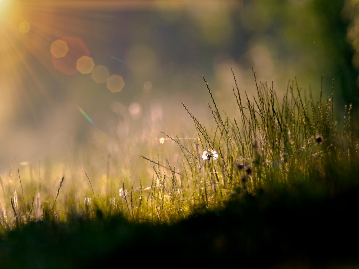 2024|Naturwacht: überzeugt das Richtige zu&nbsp;tun