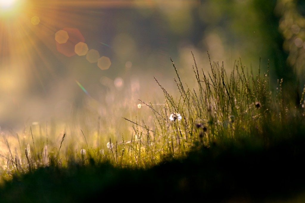 2024|Naturwacht: überzeugt das Richtige zu&nbsp;tun
